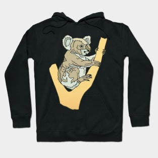 Koala Hoodie